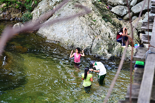 DAK GA Waterfall